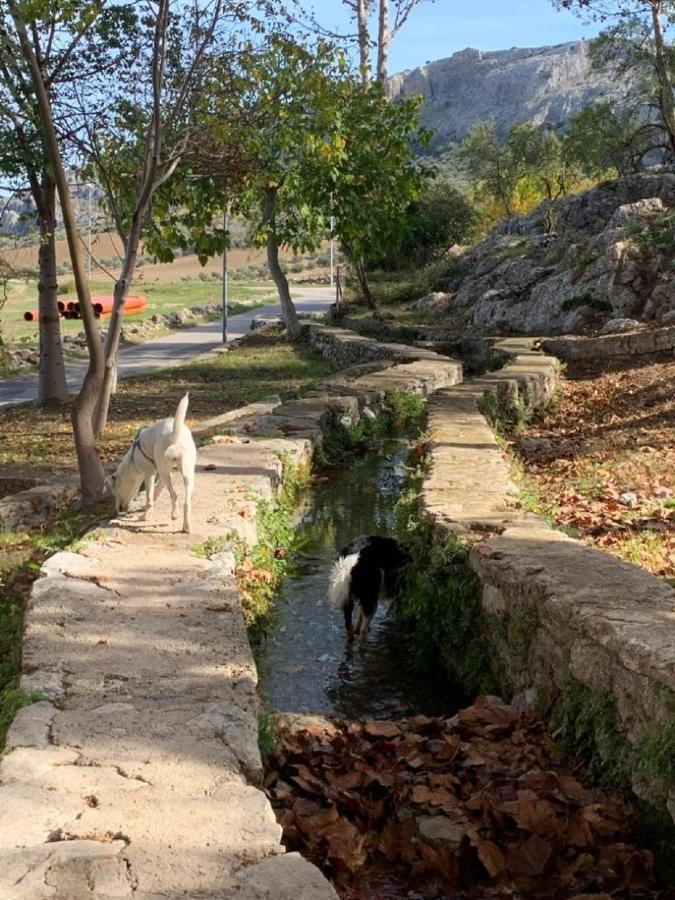 Villa Remedios Cuevas del Becerro Eksteriør bilde